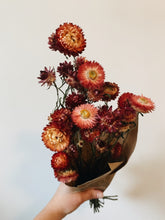 Load image into Gallery viewer, Dried Bunch of Strawflowers
