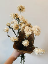 Load image into Gallery viewer, Dried Bunch of Strawflowers