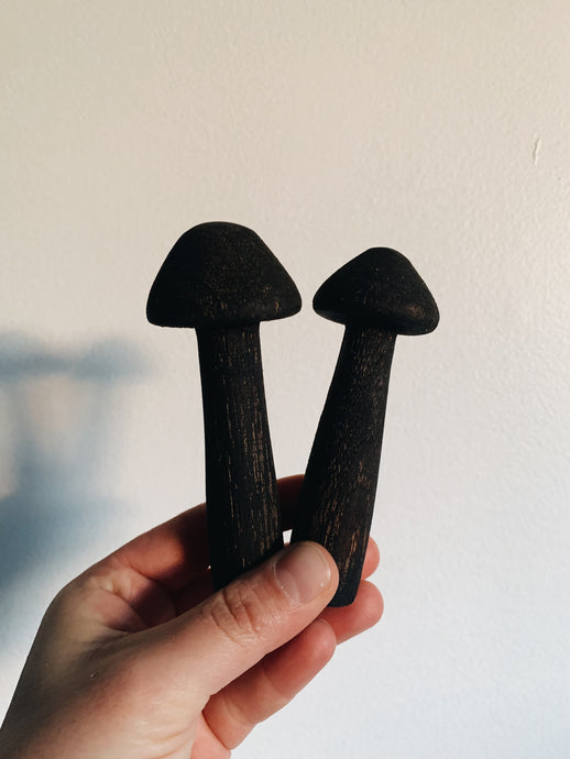 Black little oak mushroom pair 