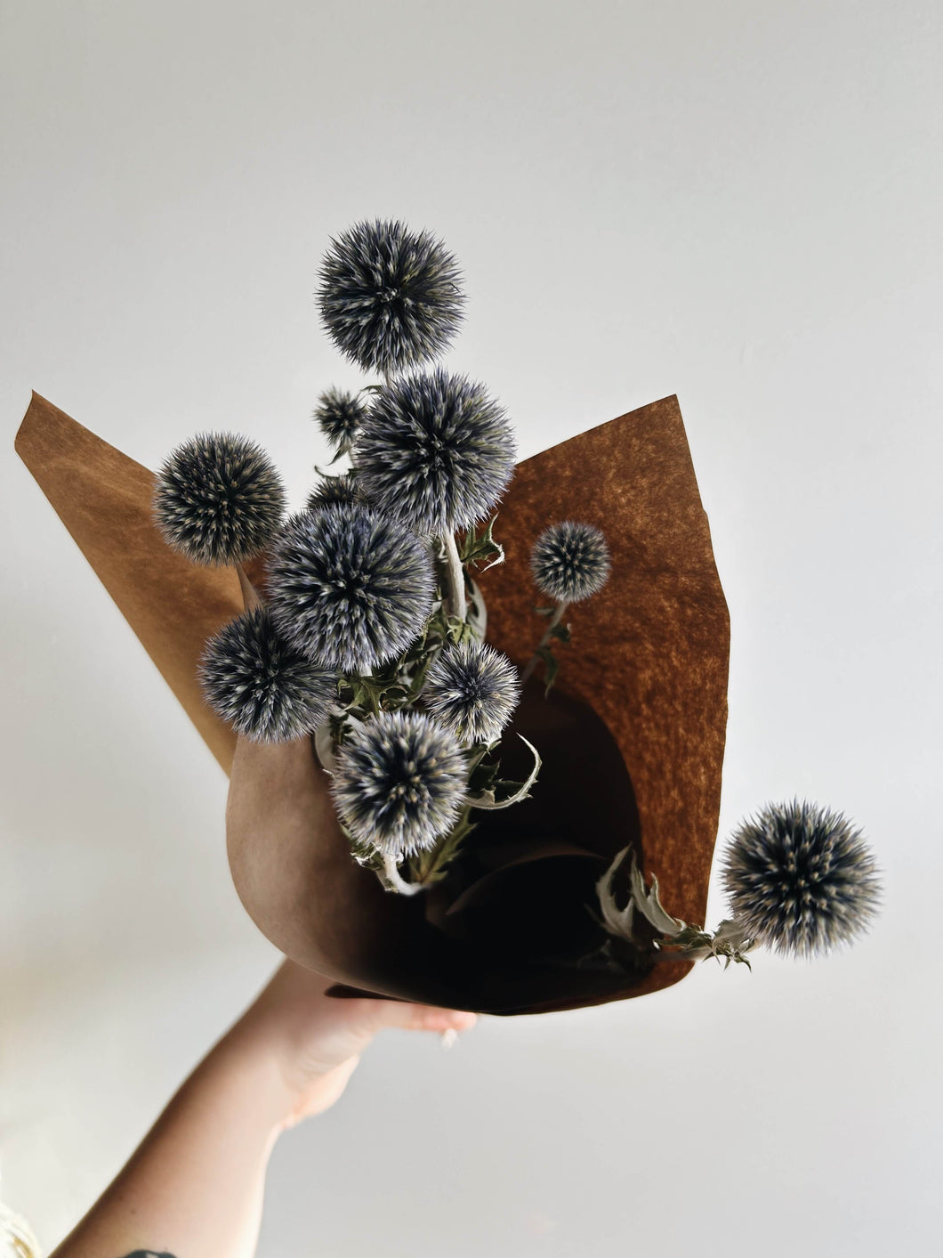 All natural blue colored dried flowers, a round globe thistle, held in a bunch wrapped in brown kraft paper held up against a white wall