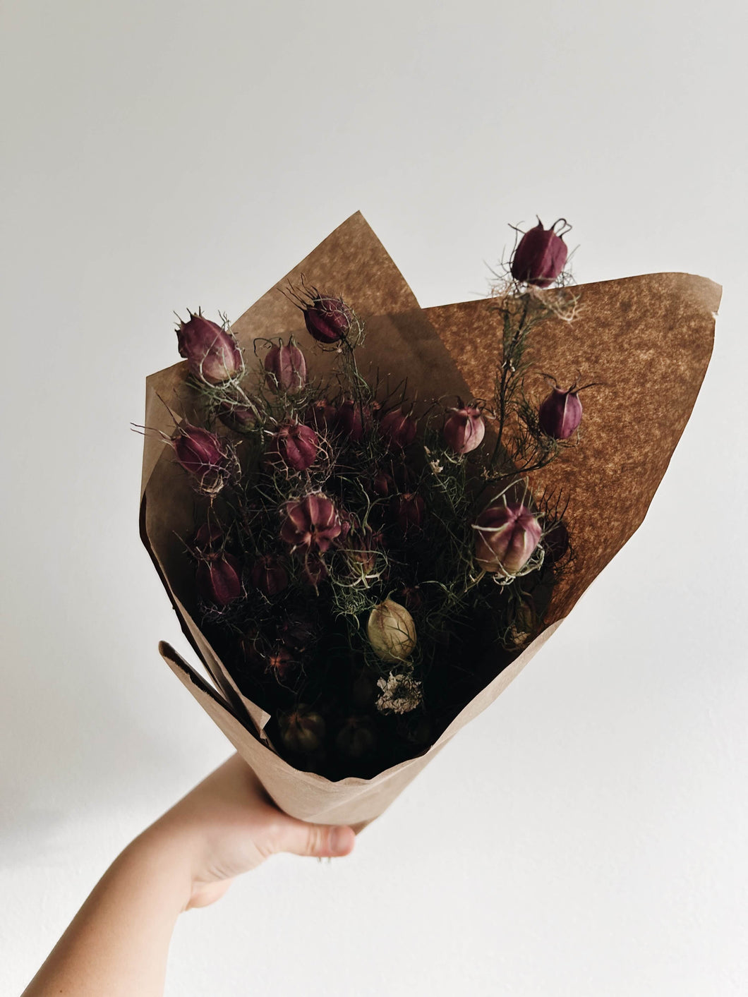 A bunch of dried Nigella Pods, a wispy rounded pod that is green / burgundy ombre in color, held in a bunch wrapped in brown kraft paper held up against a white wall