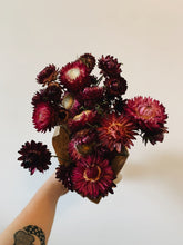 Load image into Gallery viewer, Dried Bunch of Strawflowers