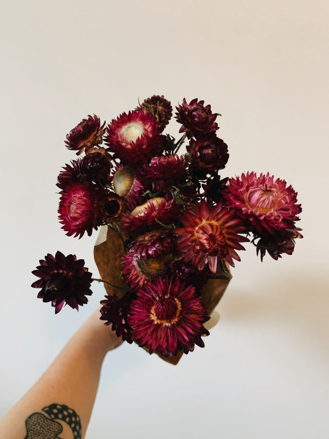 Dried Bunch of Strawflowers