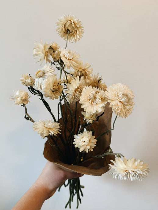 Dried Bunch of Strawflowers