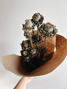 A bunch of uniquely textured hens and chicks poppy pods held in a bunch wrapped in brown kraft paper held up against a white wall