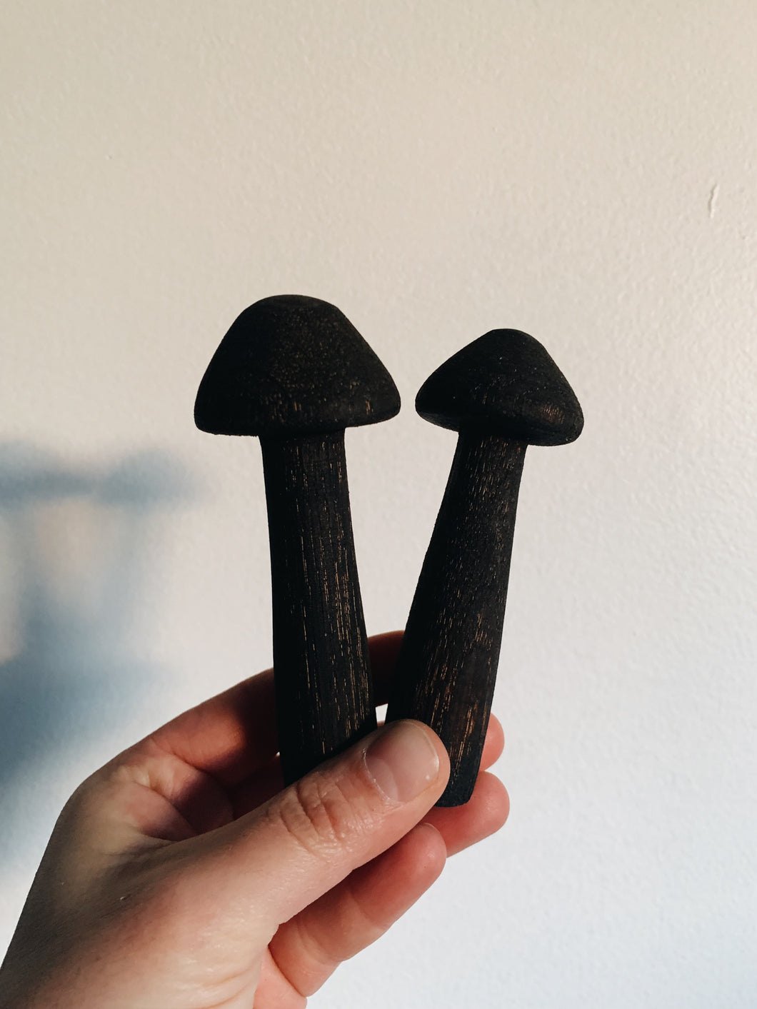 Black little oak mushroom pair 