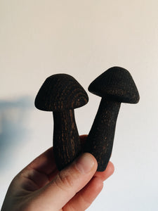 Little black pair of mushrooms 